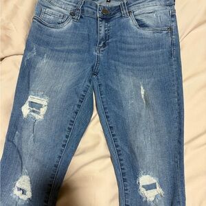 Kut Connie Skinny Crop